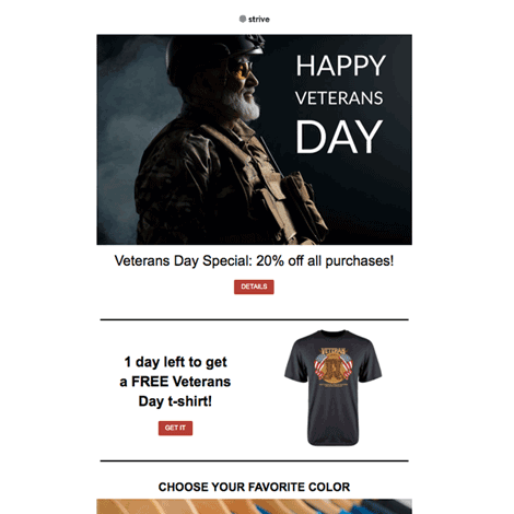 Veterans Day Simple Marketing